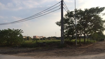 Các khu đất xây dựng khu nhà ở giãn dân phố cổ cỏ mọc um tùm chưa biết bao giờ có nhà. Ảnh: Tú Anh