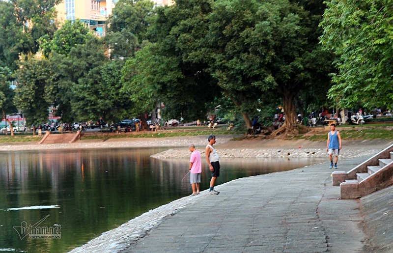 tè bậy, nhà vệ sinh, quý ông xả van thẳng hồ, tè bậy xuống hồ