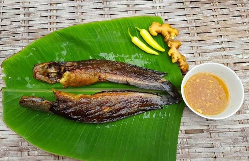 cá đồng, cá đồng miền tây, cá đồng đi máy bay, mua cá đồng, cá rô đồng