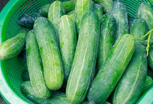 6 không khi ăn dưa chuột, gia đình Việt nào cũng phải biết - Ảnh 1.