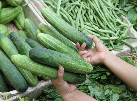 6 không khi ăn dưa chuột, gia đình Việt nào cũng phải biết - Ảnh 2.