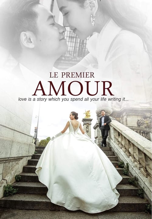 anh-cuoi-co-tich-o-paris-cua-co-gai-thoi-tiet-mai-ngoc-1