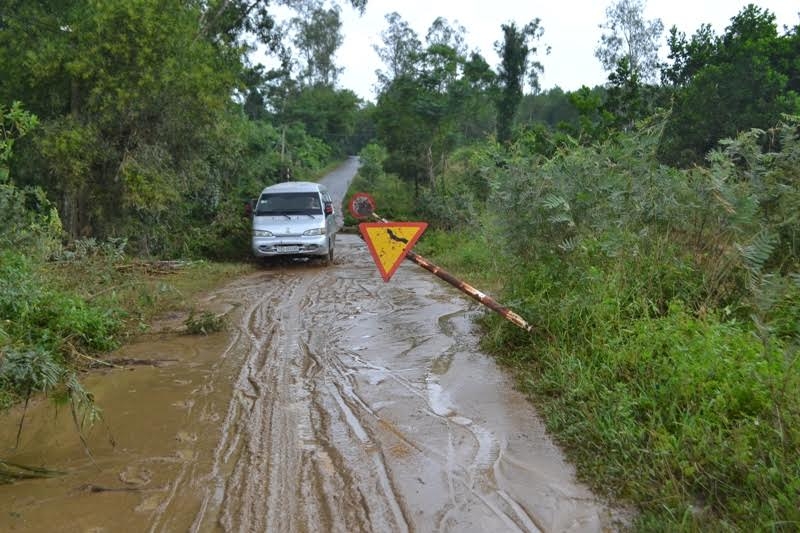 anh:quang tri tan hoang sau lu, ngan nguoi hoi ha khac phuc hau qua hinh anh 3