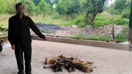 Ke trom cho bi dan lang vay danh ngat xiu hinh anh 1