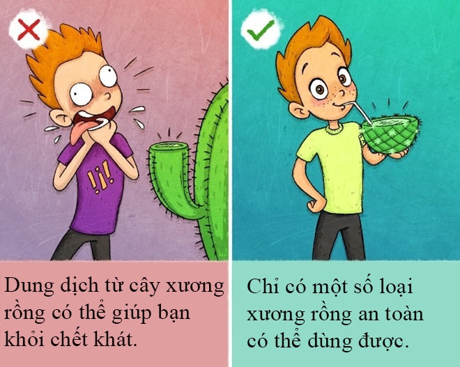 Những mẹo sinh tồn ai cũng tưởng đúng hóa sai