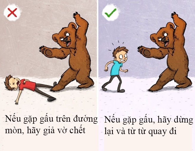 Những mẹo sinh tồn ai cũng tưởng đúng hóa sai