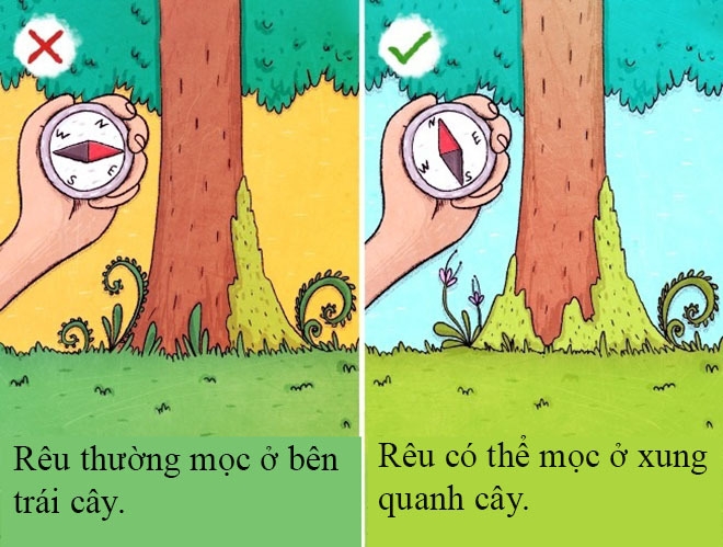 Những mẹo sinh tồn ai cũng tưởng đúng hóa sai