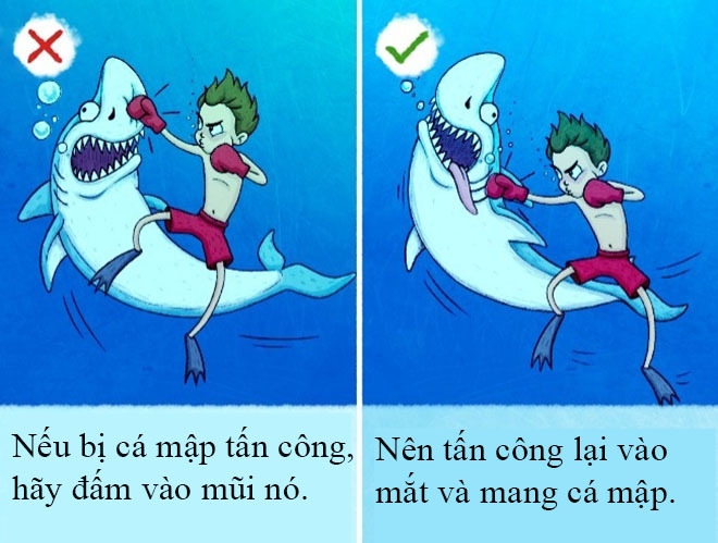 Những mẹo sinh tồn ai cũng tưởng đúng hóa sai