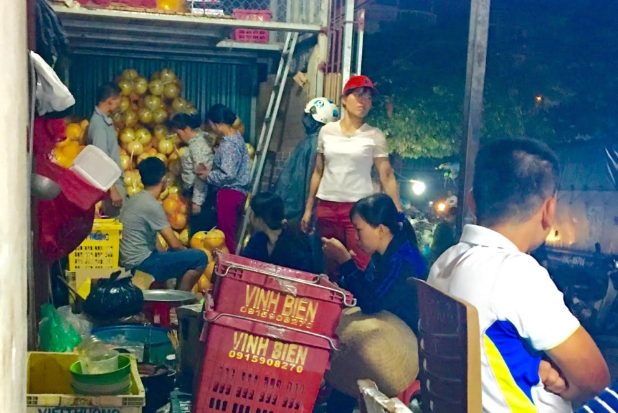 bưởi trung quốc, bưởi lạ vàng bóng, bưởi vàng bóng, bưởi việt nam