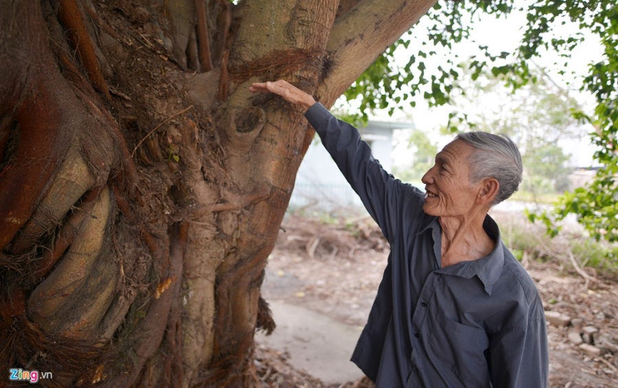 'Cu' dai bang duoc dan lang uop xac 13 nam o Ha Noi hinh anh 2