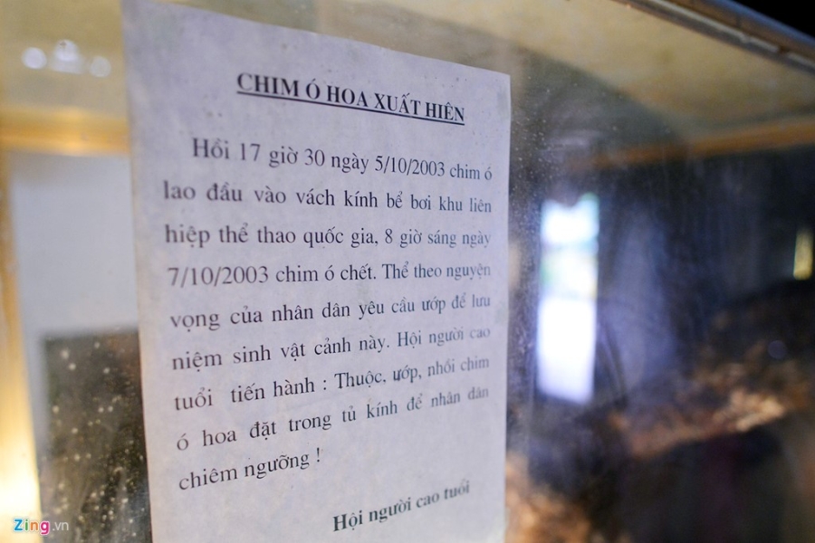 'Cu' dai bang duoc dan lang uop xac 13 nam o Ha Noi hinh anh 7
