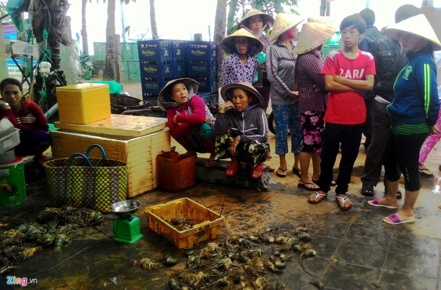 Nguoi nuoi tom hum thiet hai tram ty do mua lu hinh anh 8