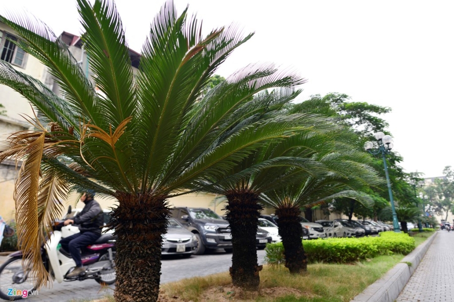 Can canh noi sap thanh pho sach Ha Noi hinh anh 8