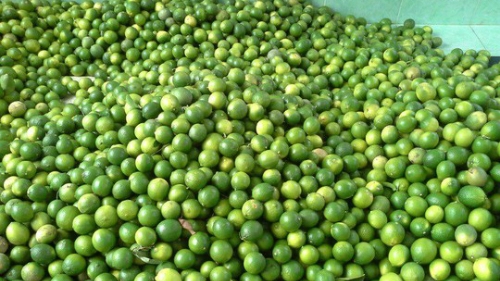 chanh-giam-gia-manh-vi-mua-keo-dai