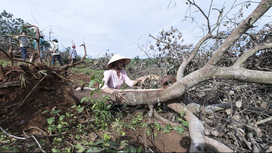 công ty Long Sơn, vụ nổ súng 3 người chết, Đắk Nông,