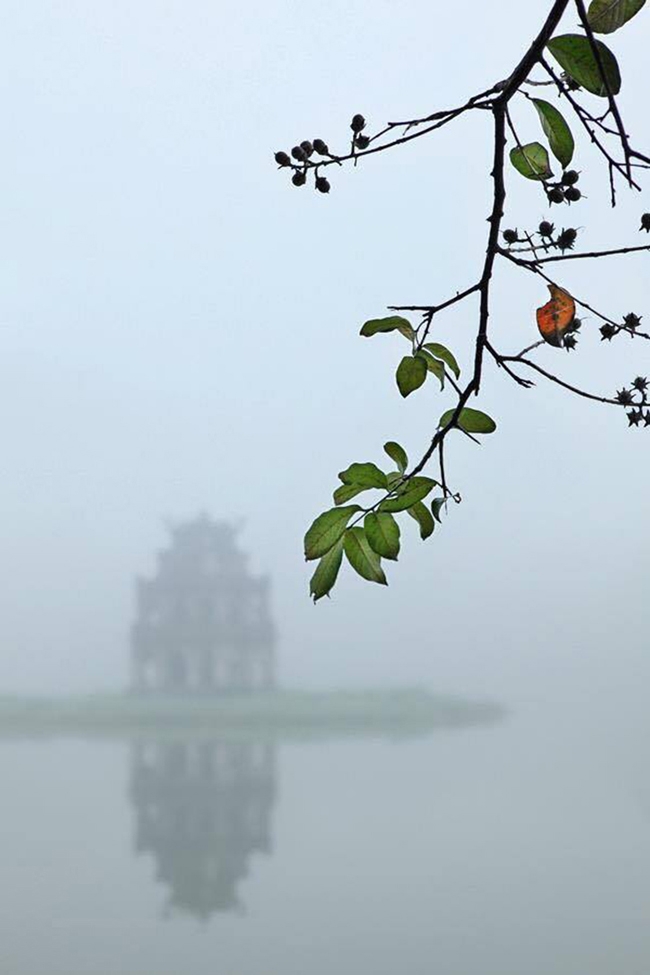 binh yen mot som mua dong ha noi hinh anh 2