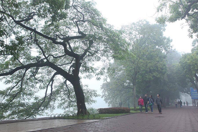 binh yen mot som mua dong ha noi hinh anh 3