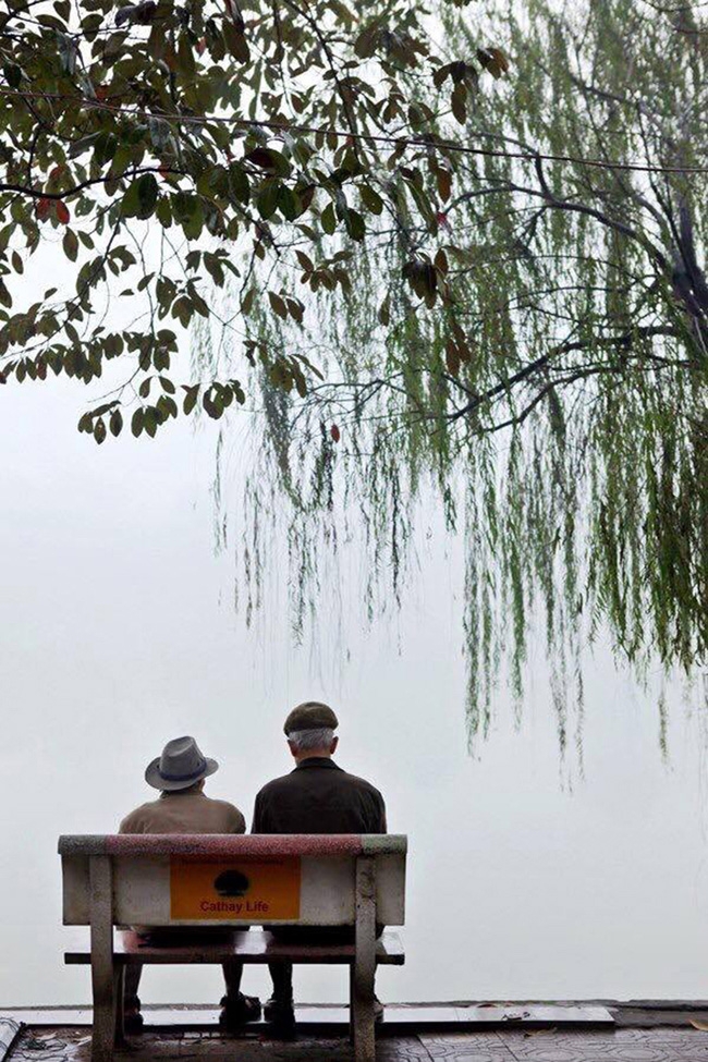 binh yen mot som mua dong ha noi hinh anh 6