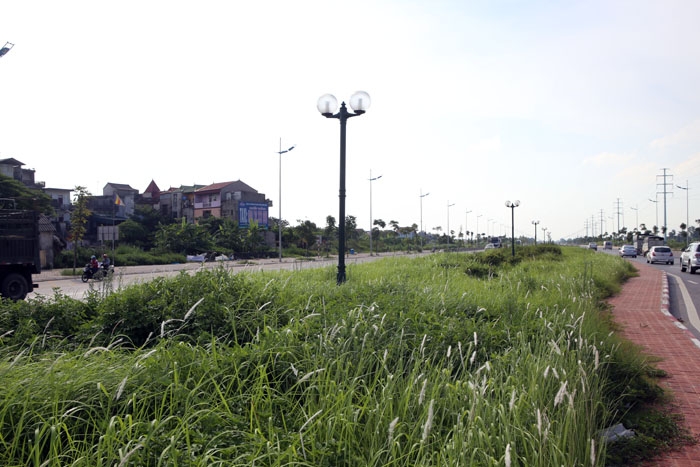 de nghi ha noi cat co duong quoc lo hinh anh 1