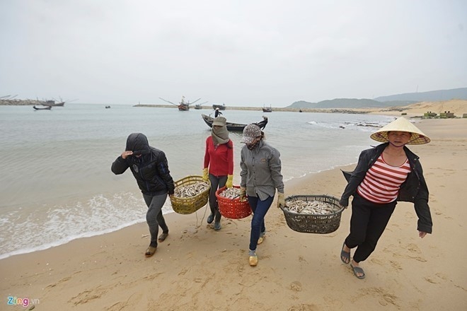 Fomosa Ha Tinh buoc phai thay doi cong nghe neu van hanh hinh anh 2