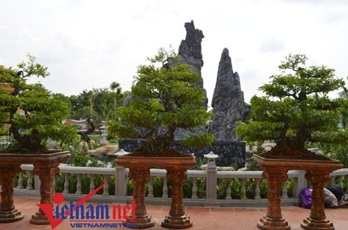 Hoài Linh, Xuân Hinh, nhà thờ Tổ của Hoài Linh, nhà quê của Xuân Hinh