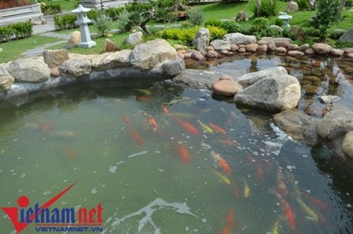 Hoài Linh, Xuân Hinh, nhà thờ Tổ của Hoài Linh, nhà quê của Xuân Hinh