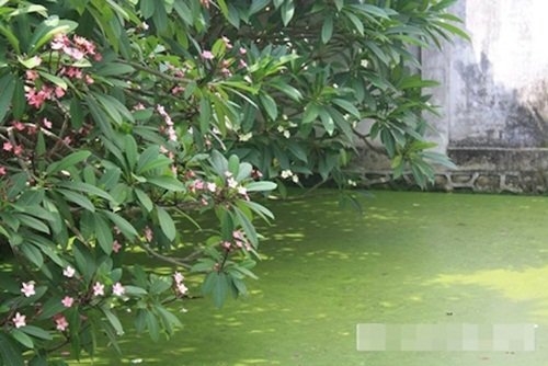 Hoài Linh, Xuân Hinh, nhà thờ Tổ của Hoài Linh, nhà quê của Xuân Hinh