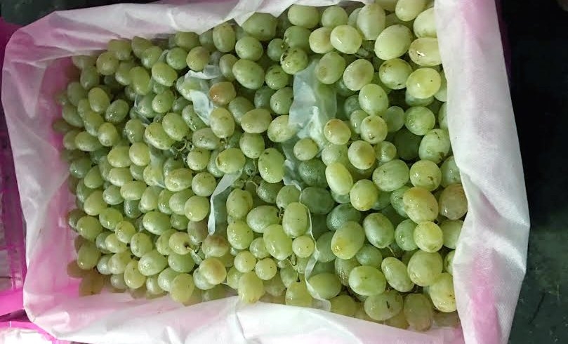 Hoa quả Tàu 6 - 10 ngàn/kg, dấu vết cảnh báo dính độc