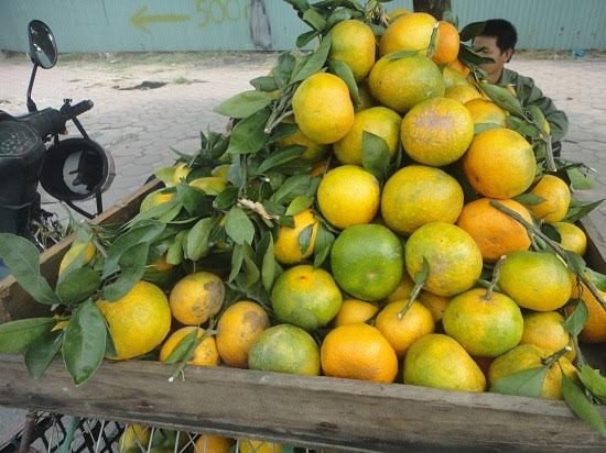 Hoa quả Tàu 6 - 10 ngàn/kg, dấu vết cảnh báo dính độc