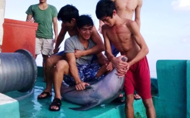 Đến 14h hôm nay, trên trang “người Phú Quốc” không còn xuất hiện các hình ảnh nhóm thanh niên làm thịt cá heo gây phẫn nộ. (ảnh facebook)