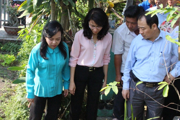 tp.hcm cuong cuong vi... virus zika hinh anh 2