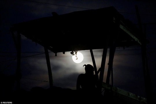  Ngắm siêu trăng ở Hawaii. ẢNh: Reuters 
