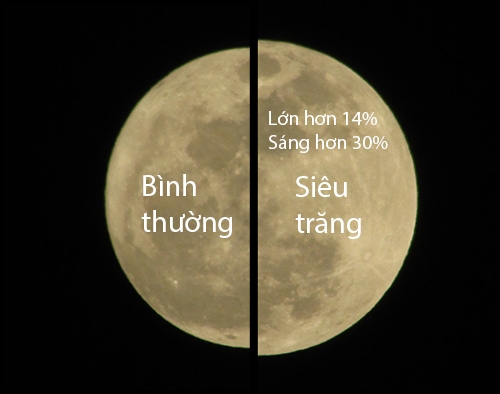 hao huc xem “sieu trang” roi… that vong hinh anh 1