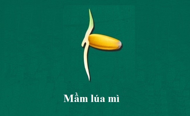 9 thuc pham ban nen an khi doi hinh anh 3