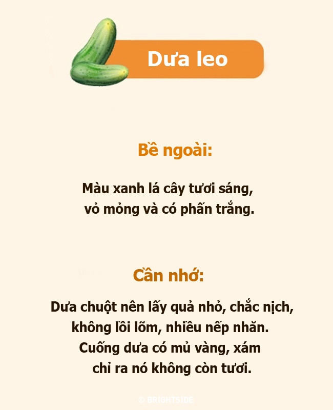 Dấu hiệu cà chua, bắp cải bị bón nhiều phân đạm