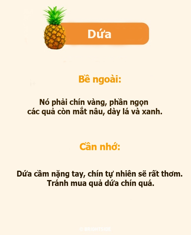 Dấu hiệu cà chua, bắp cải bị bón nhiều phân đạm