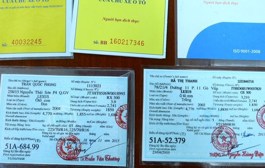  Cà vẹt được làm giả 