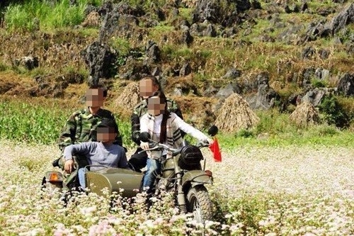 Nam phuot thu khoe anh hai het hoa da quy tren duong hinh anh 2