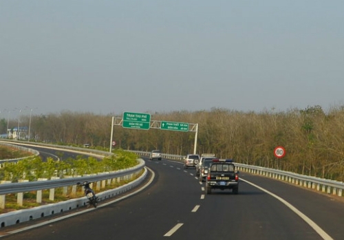 hang-cay-xanh-cao-vut-de-lam-gi