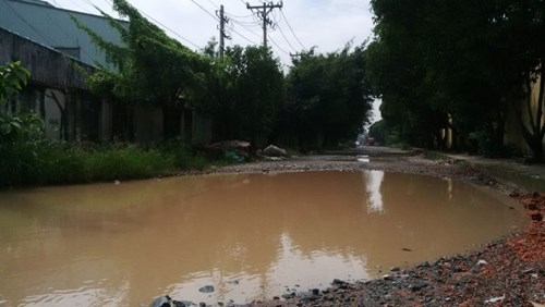 Sau mưa, “ao cá” xuất hiện trên đường phố Sài Gòn ảnh 1