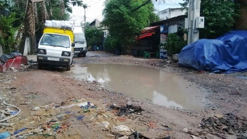 Sau mưa, “ao cá” xuất hiện trên đường phố Sài Gòn ảnh 2