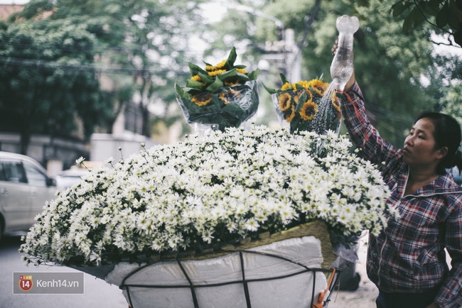 Không kịp chờ Hà Nội trở lạnh, mùa cúc hoạ mi đã về khắp phố phường - Ảnh 2.
