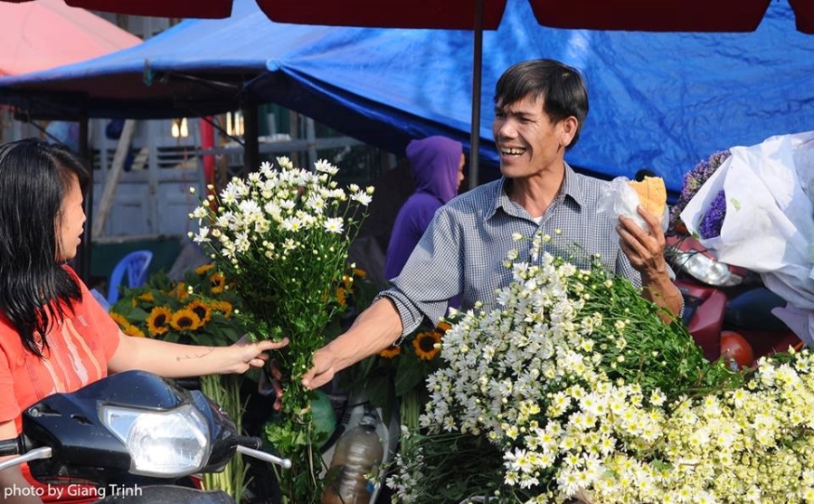 Cuc hoa mi ve tren pho Ha Noi hinh anh 4