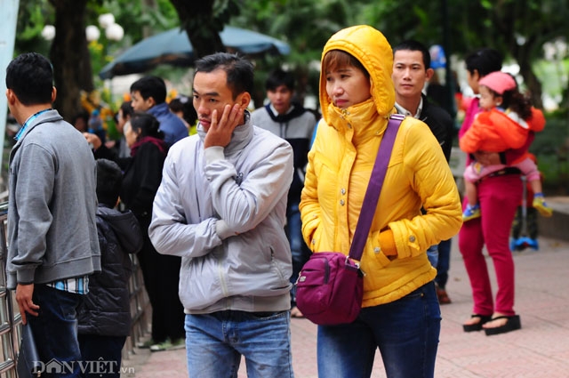 chum anh: nguoi ha noi co ro trong cai lanh cuoi thang 11 hinh anh 8