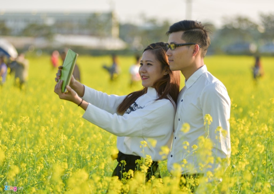 Gioi tre check-in dong hoa cai vang ben song Hong hinh anh 6