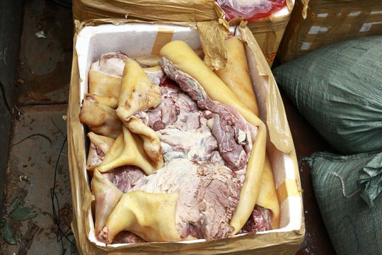 700 ký thịt thối giả heo rừng chuẩn bị vào nhà hàng - 1