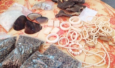 Phat hien 3,3 kg nghi la nga voi, sung te giac hinh anh 1