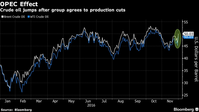 OPEC giam san luong, gia dau pha moc 50 USD/thung hinh anh 2