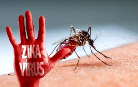 Vi rút Zika đã được ghi nhận tại 19 quận huyện trên địa bàn thành phố