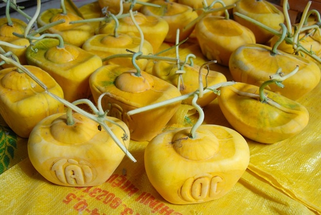  Cha de dua thoi vang mien Tay de 2 thang chua hu ke chuyen hinh anh 1